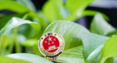 浙江:一个不落,法治副校长要全覆盖!